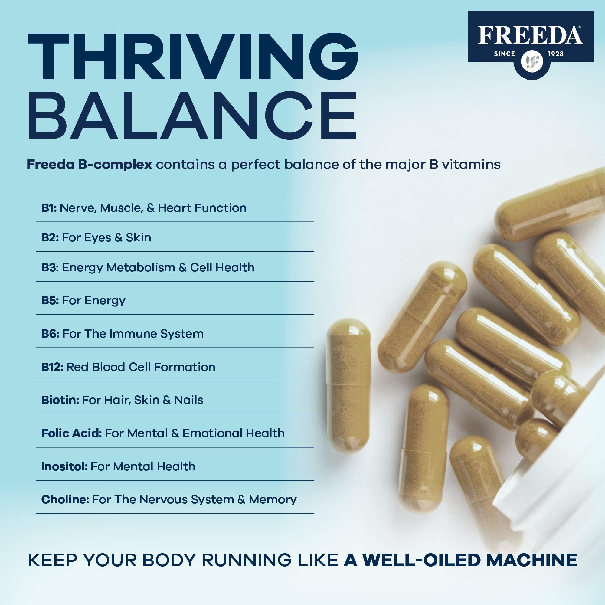 FREEDA B-Complex Capsules – Super Quints B-50 – B2 B3 (Niacinamide) B6 B12 + Biotin + Folic Acid + Choline & Inositol – Vegan – 250 Capsules - Image 3