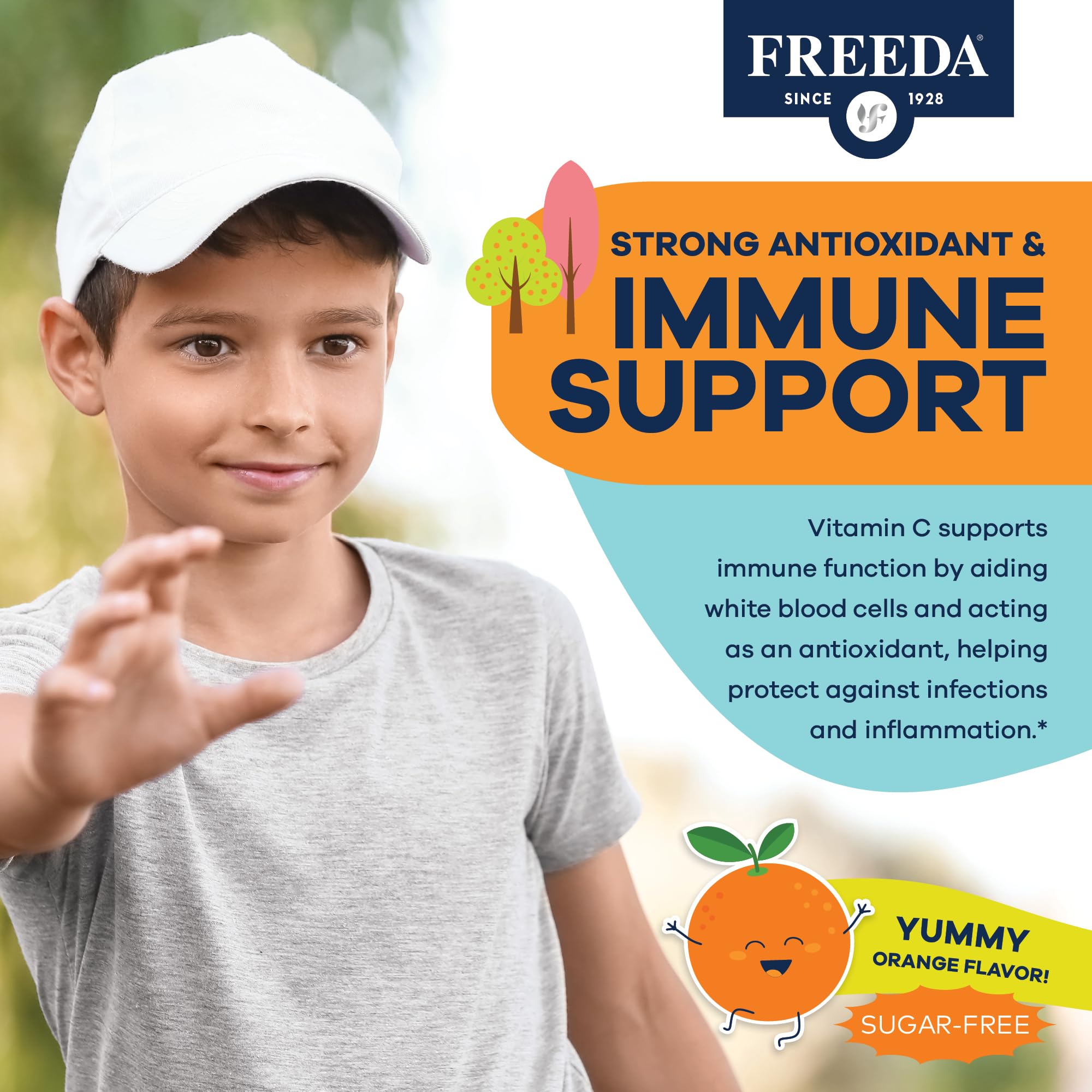 FREEDA Vitamin C Kids Vitamin C Gummies - Kids Sugar Free VIT C Gummy Chewable for Adults, Teens & Children - Certified Kosher, Delicious Orange Flavor, Zero Sugar Immune Support Supplement (60 Ct) - Image 4
